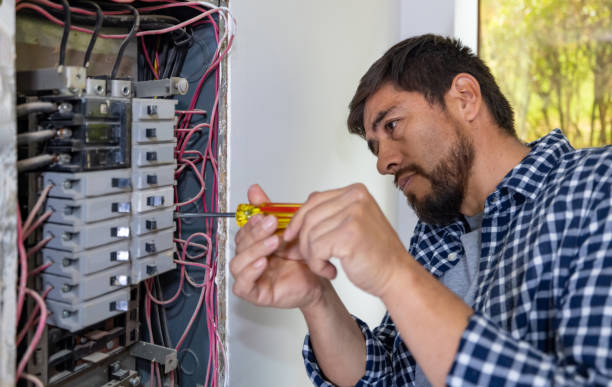 Best Local Electrician Companies  in Arlington, MN